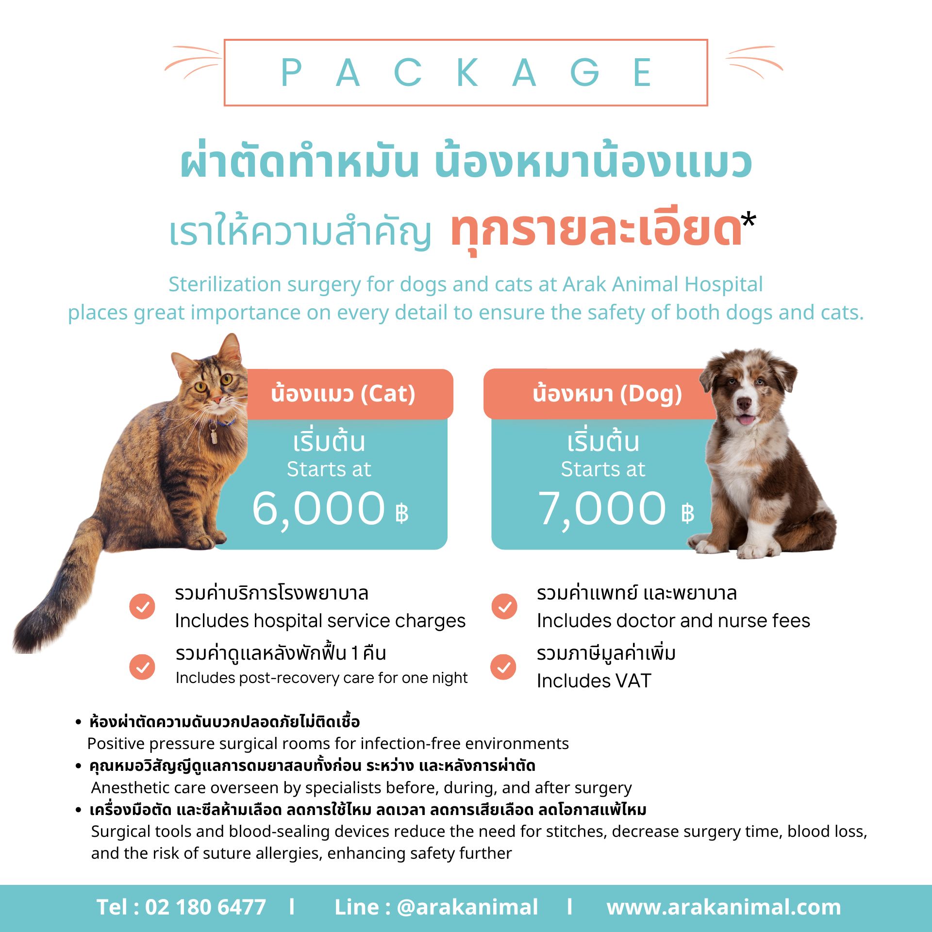 Sterilization surgery for dogs and cats at Arak Animal Hospital places great importance on every detail to ensure the safety of both dogs and cats.