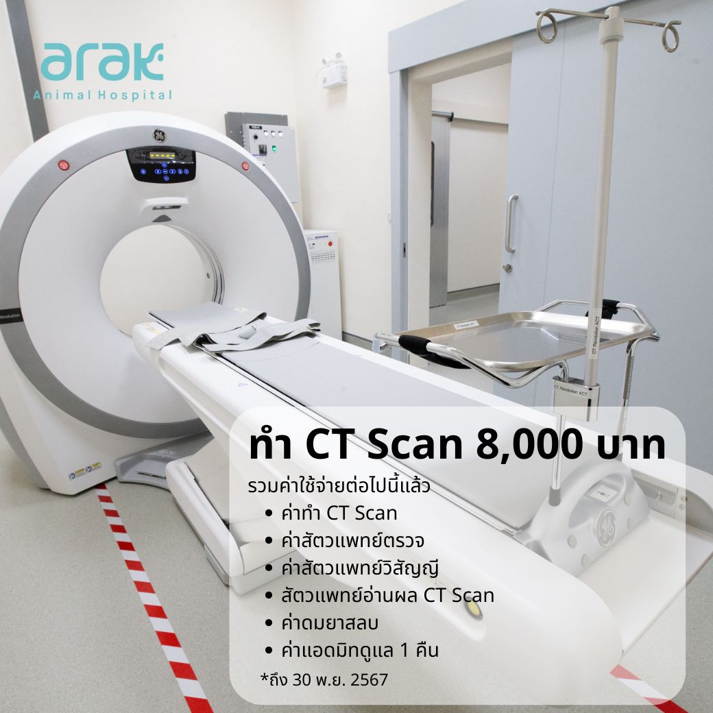 ทำ CT Scan ที่โรงพยาบาลสัตว์อารักษ์ ราคา 8,000 บาท