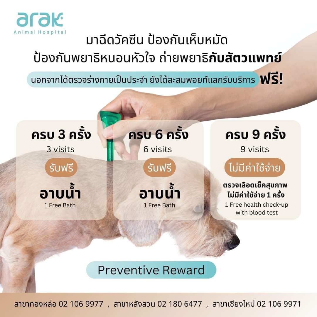 Reach the Milestone to get the good health of your beloved one