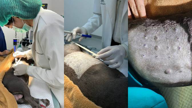 A collage of people in medical gowns

AI-generated content may be incorrect.