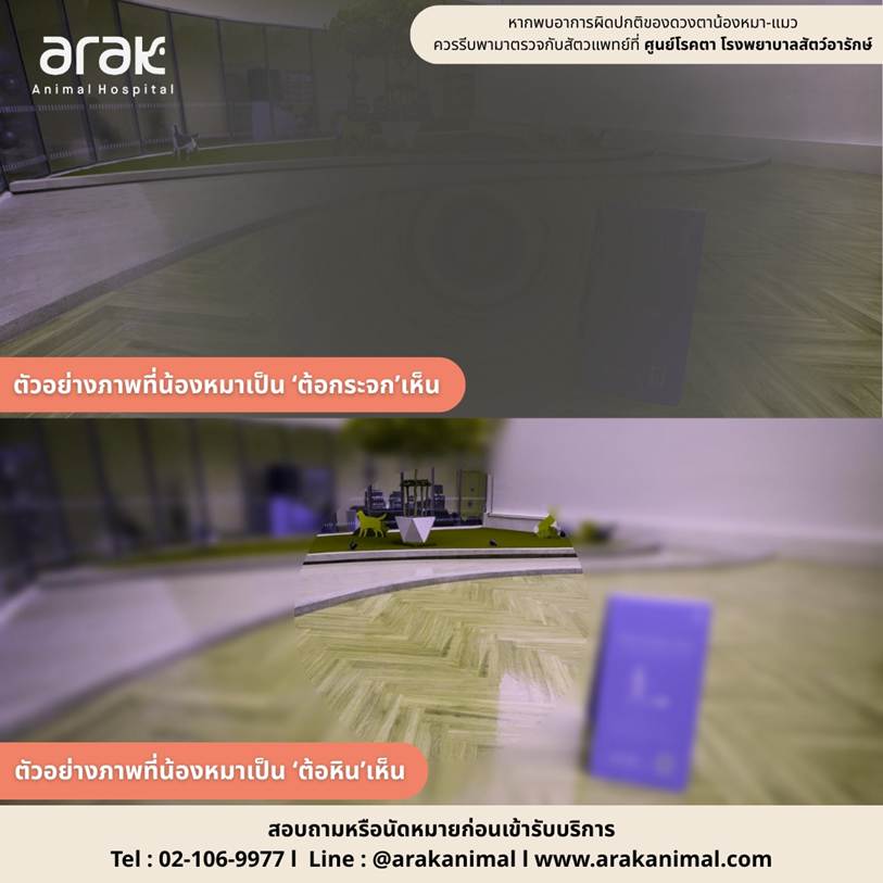 May be an image of text