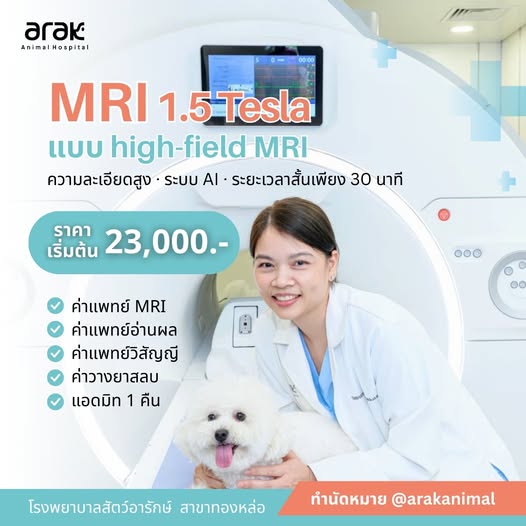High-Precision Pet MRI with AI Analysis – 30-Minute Scan from 23,000 THB