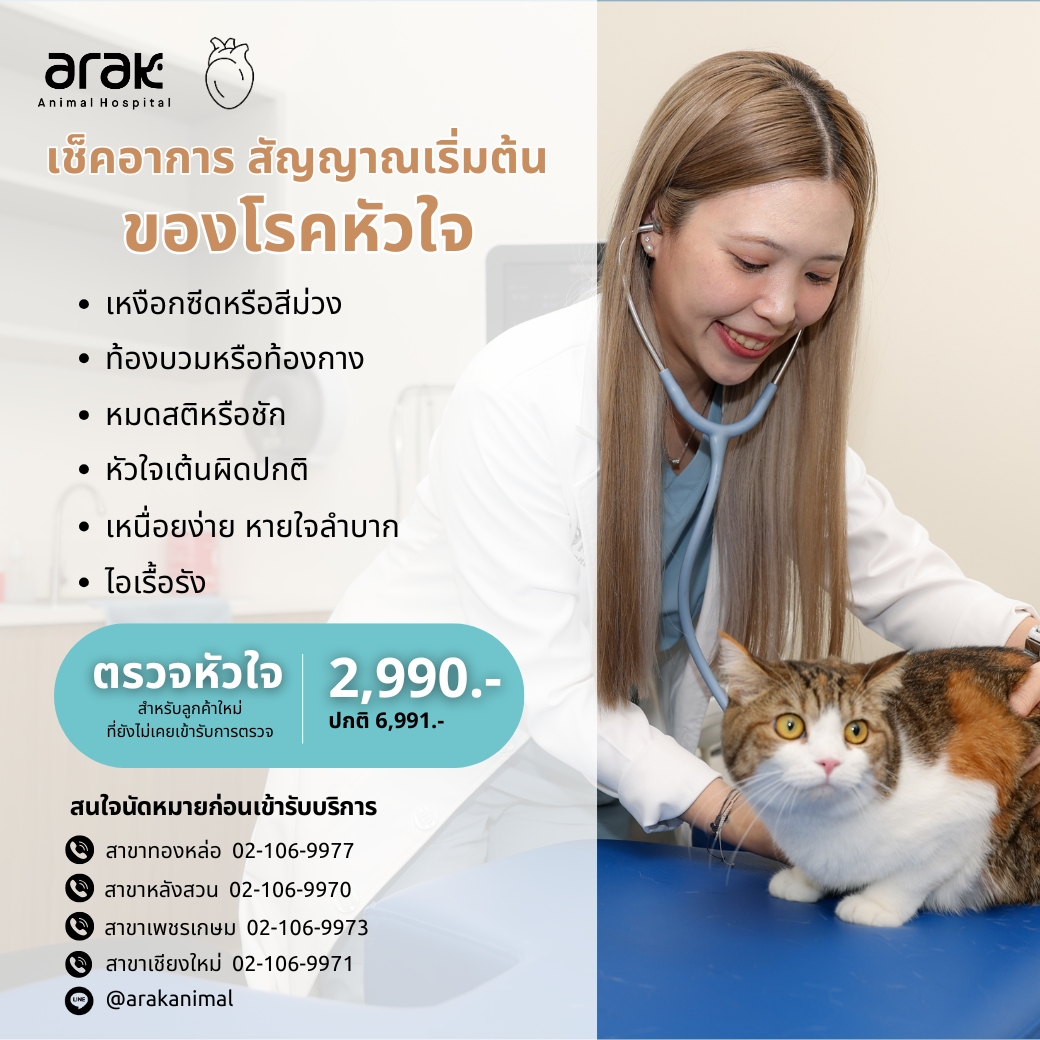 Pet Heart Checkup Package Starting from 2,990 THB