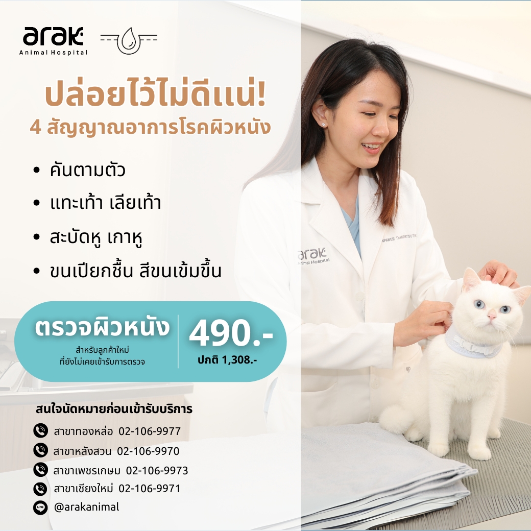 Pet Skin Checkup Package – Only 490 THB for New Customers