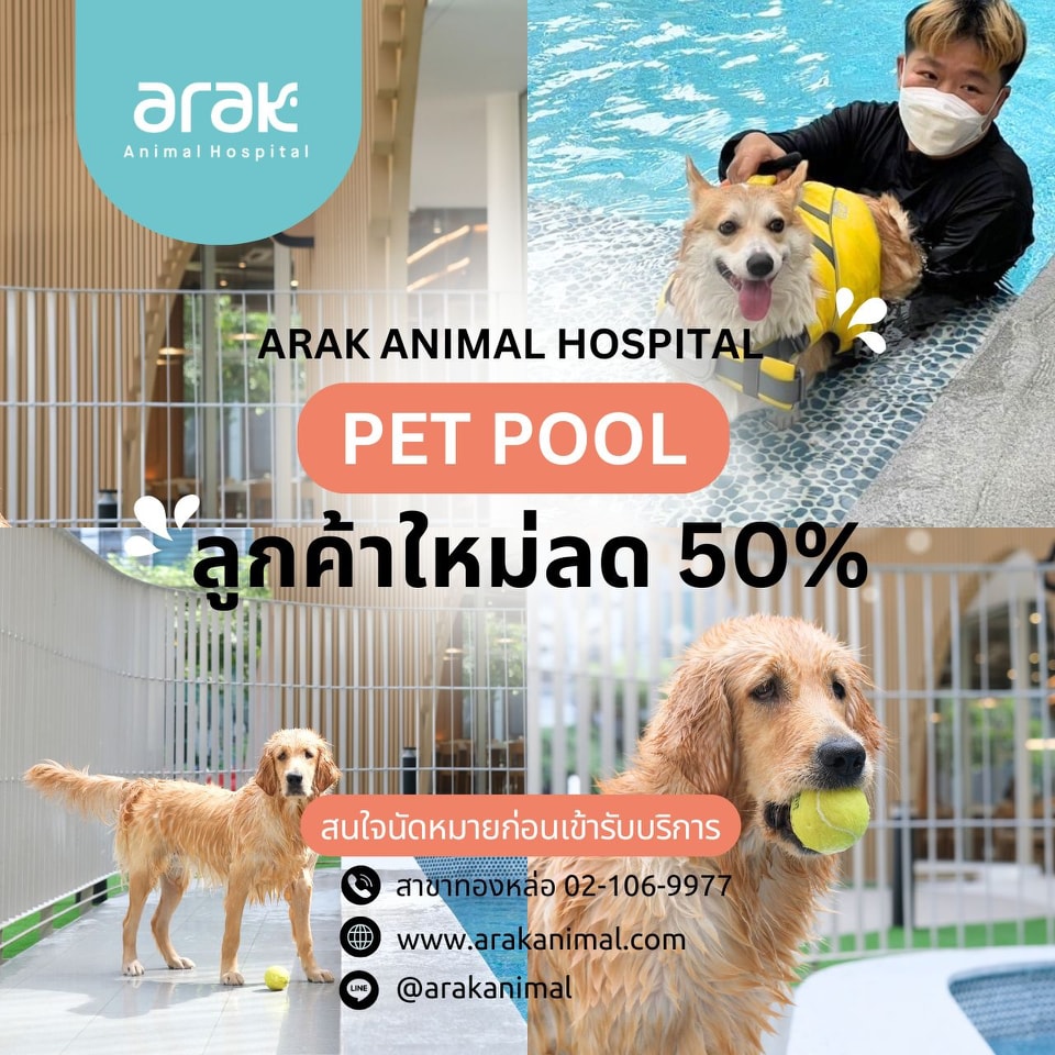Pet Pool 50% Off for New Clients at Arak Animal Hospital Thonglor Sukhumvit