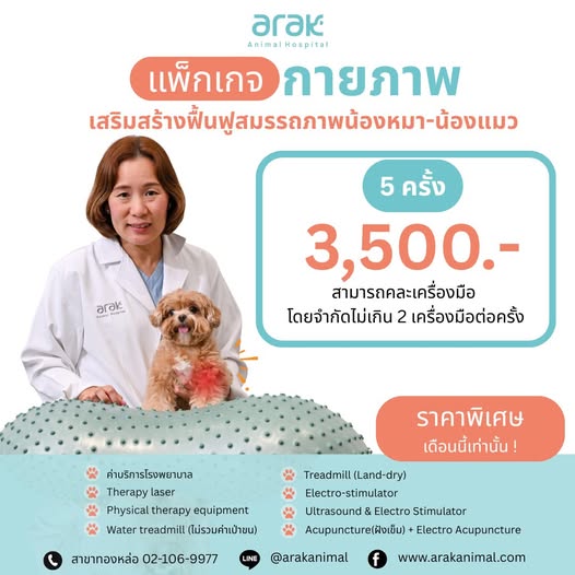 Pet Rehabilitation Package at Arak Animal Hospital – Expert Care for Your Dog or Cat