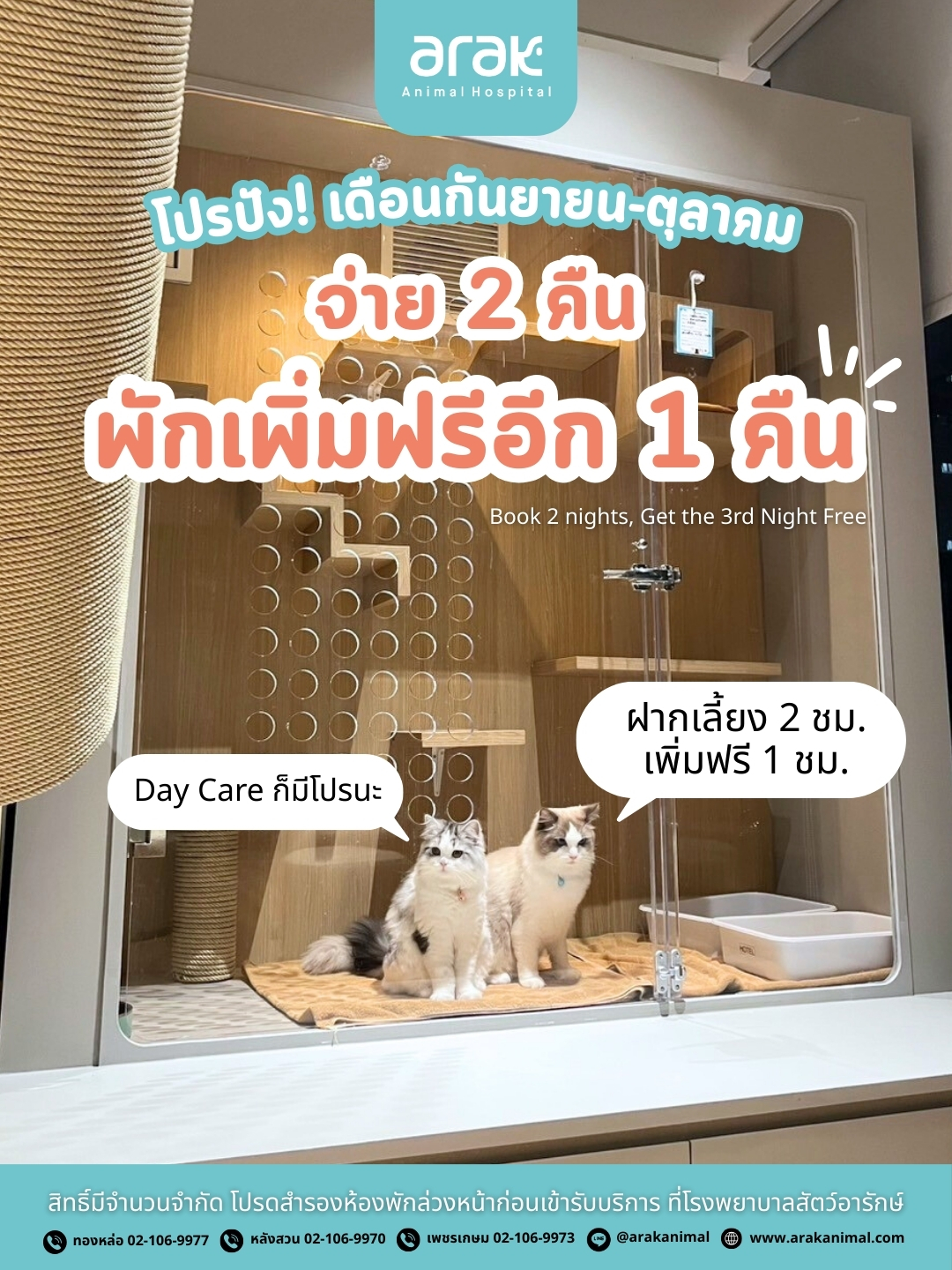 Arak Pet Hotel – Stay 2 nights and get 1 extra night FREE!
