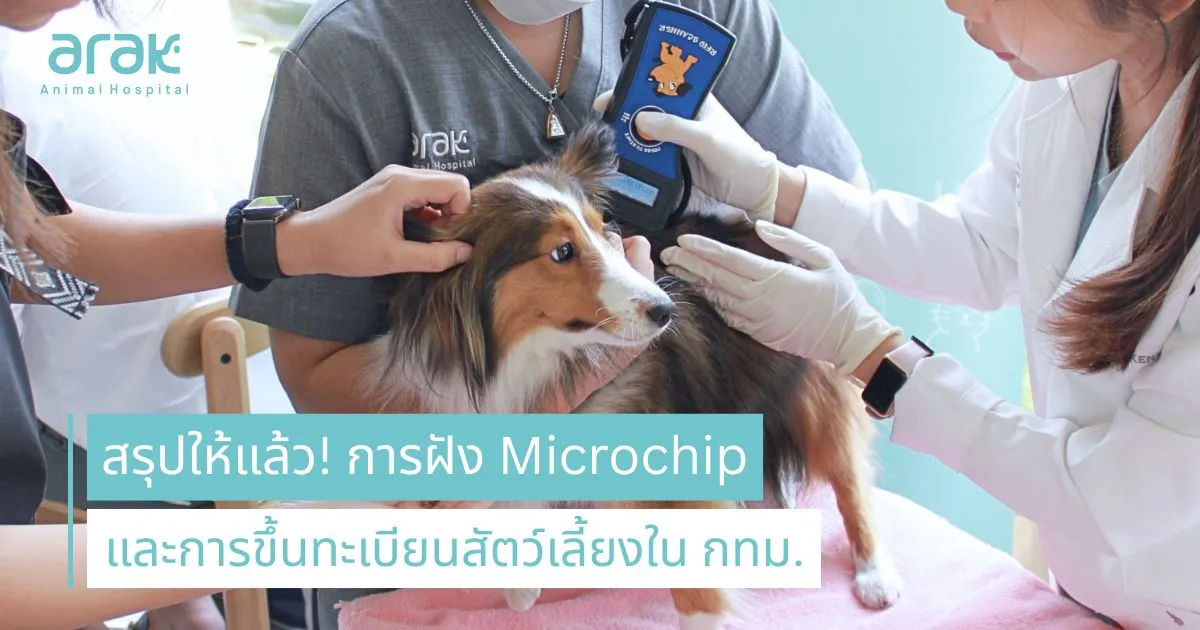 Sunset in the mountains