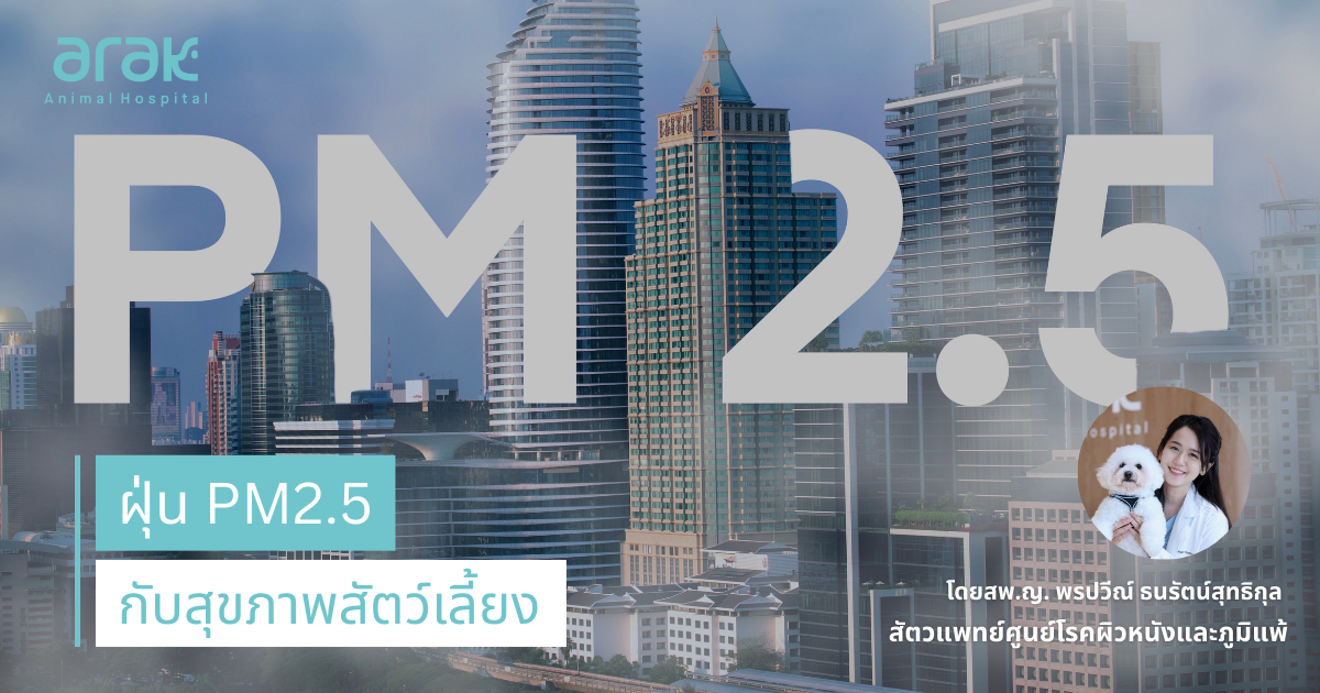 Sunset in the mountains