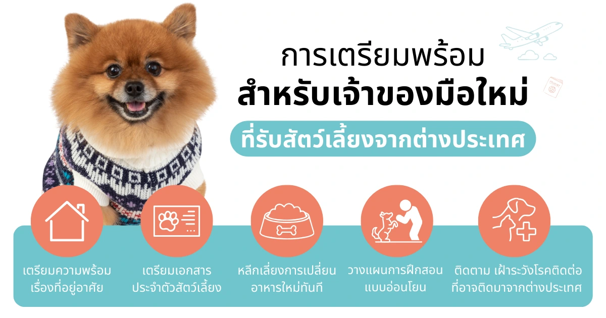 5 การเตรียมพร้อมสำหรับเจ้าของมือใหม่ที่รับสัตว์เลี้ยงจากต่างประเทศ ได้แก่ เตรียมที่อยู่อาศัย, เตรียมเอกสารสัตว์เลี้ยง, เลี่ยงเปลี่ยนอาหารทันที, วางแผนฝึกสอนอ่อนโยน, และ เฝ้าระวังโรคติดต่อจากต่างประเทศ