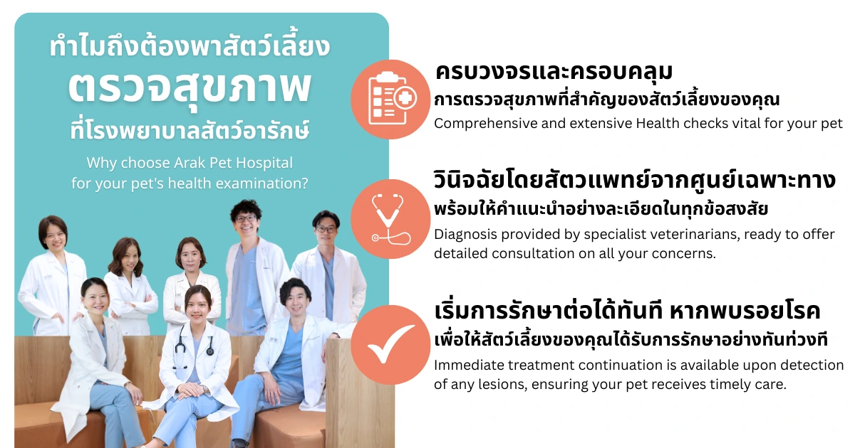 แพ็กเกจตรวจสุขภาพสัตว์เลี้ยง 6 ศูนย์โรคเฉพาะทาง ที่ อารักษ์ แอนิมอล ฮอสปิทัล โดยมีคุณหมอและสุนัขพันธุ์บอร์เดอร์ คอลลี่ 2 ตัว