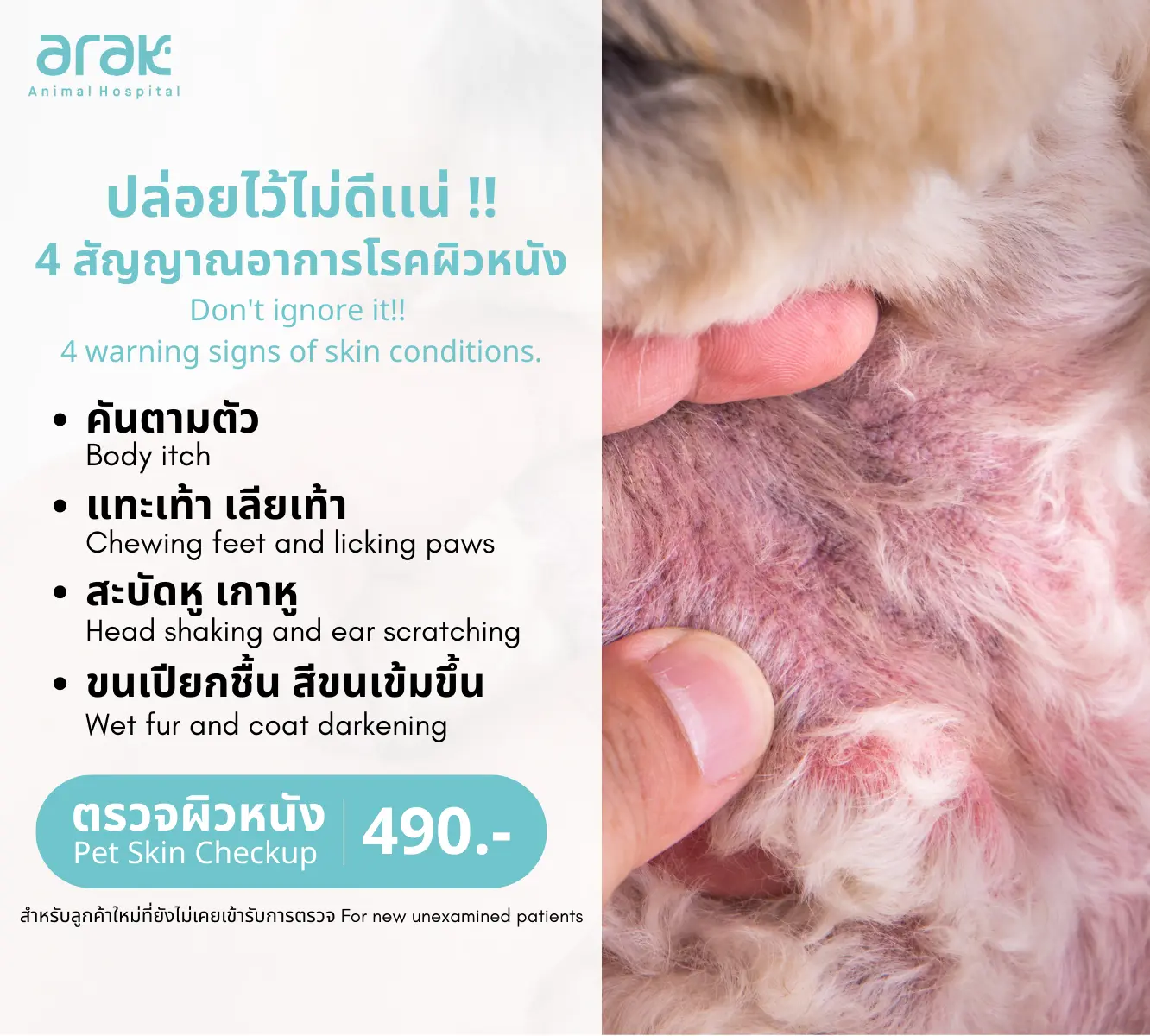 4 สัญญาณเตือนของโรคผิวหนังในสัตว์เลี้ยง: คัน, แทะเลียเท้า, สะบัดหู, ขนเปียกชื้น พร้อมราคาตรวจผิวหนัง 490 บาท