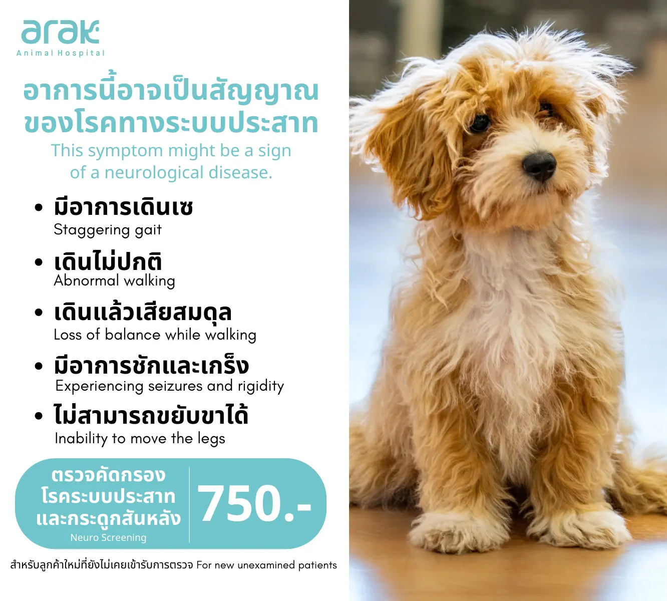 อาการที่เป็นสัญญาณของโรคทางระบบประสาทในสัตว์เลี้ยง เช่น เดินเซ, ชักเกร็ง, เดินไม่ปกติ พร้อมราคาตรวจคัดกรองระบบประสาท 750 บาท
