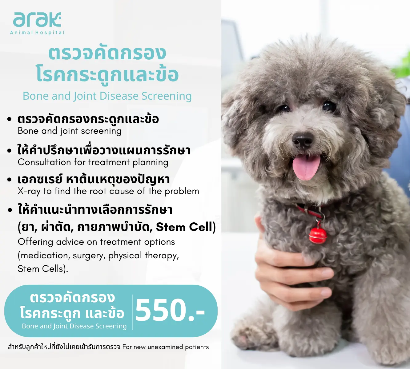 ตรวจคัดกรองโรคกระดูกและข้อในสัตว์เลี้ยง, X-ray เพื่อหาสาเหตุ, ให้คำปรึกษาการรักษา (ยา ผ่าตัด กายภาพบำบัด) พร้อมราคา 550 บาท