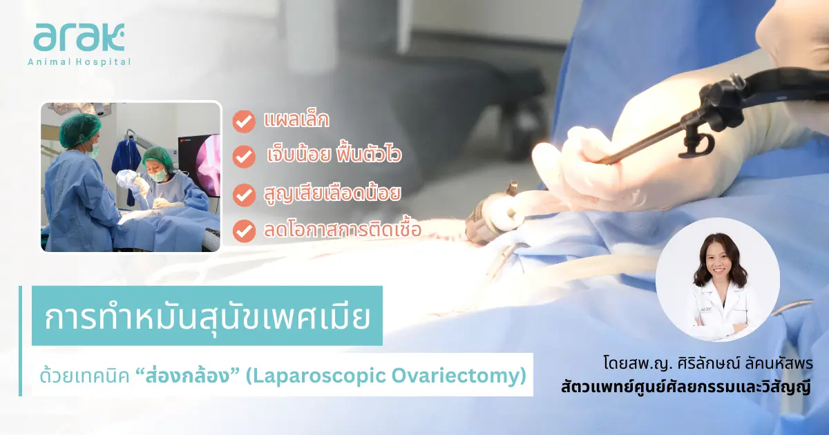 Sunset in the mountains