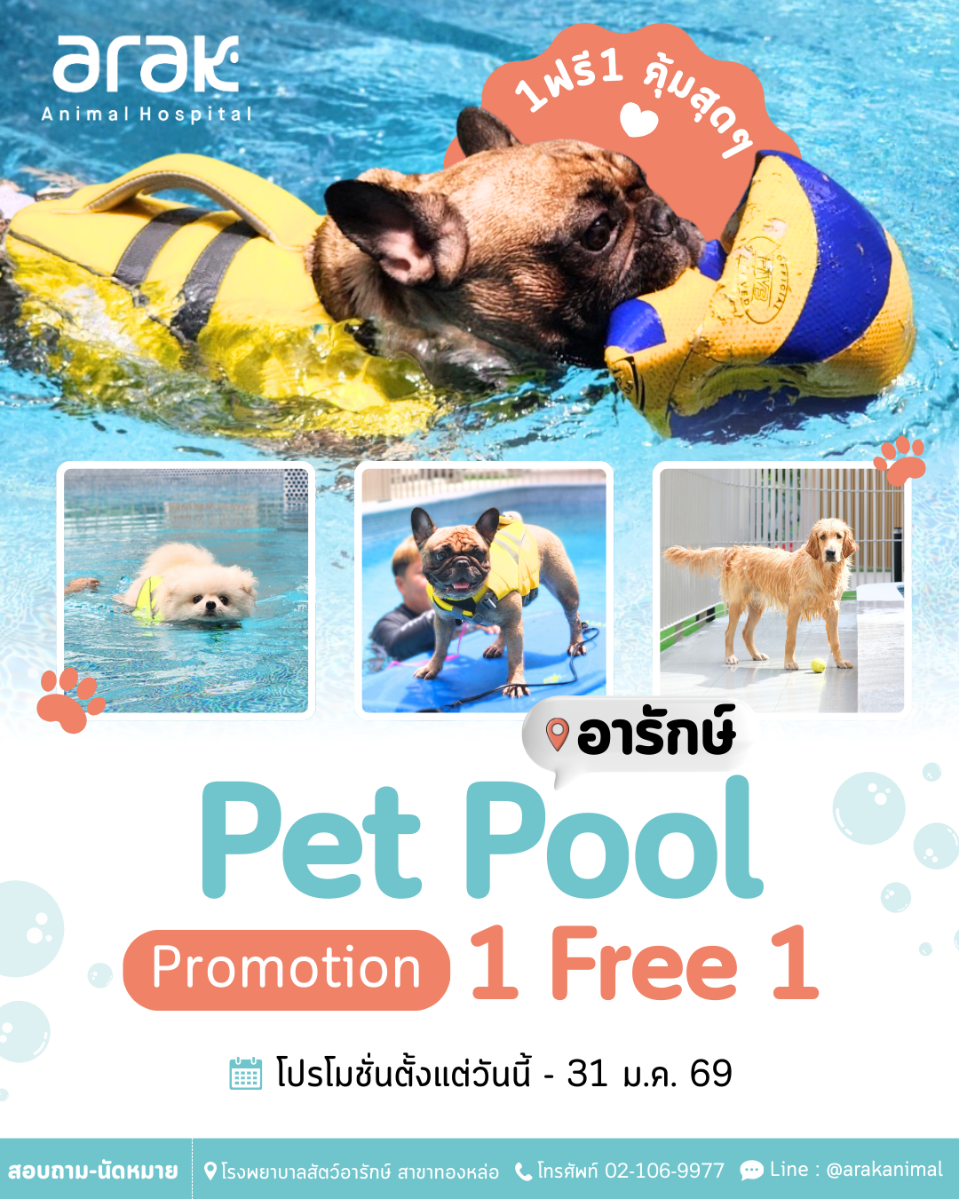 Arak Pet Pool | Special Promotion: Buy 1 Get 1 Free!