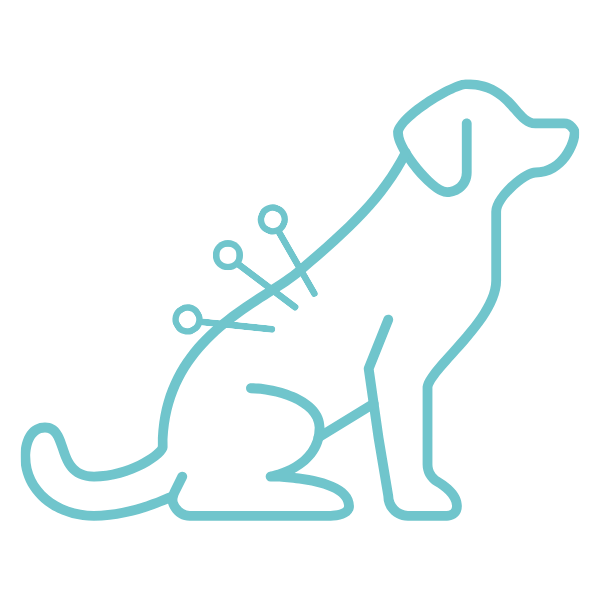 ศูนย์การแพทย์ทางเลือก และการฝังเข็ม