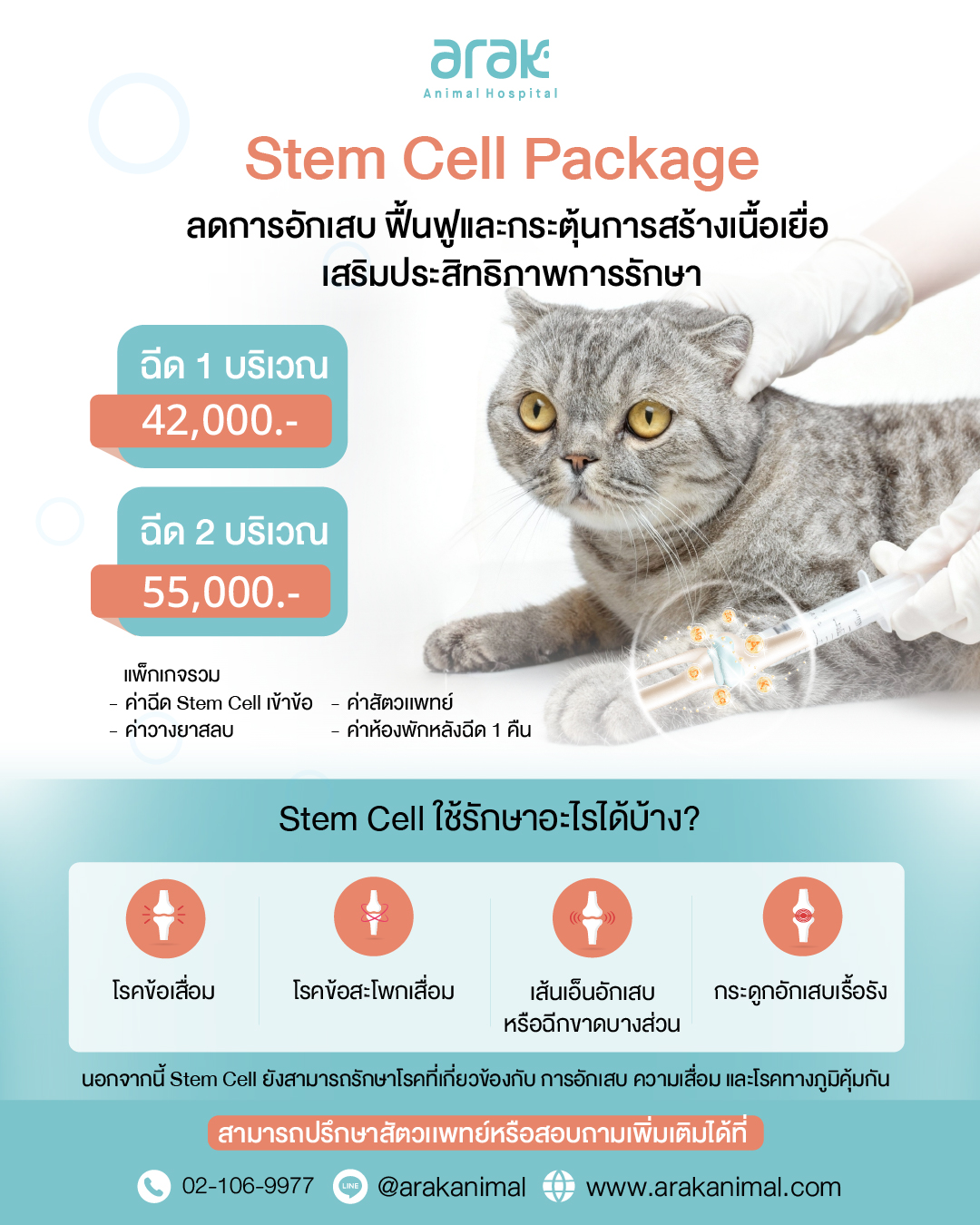 Stem Cell Package