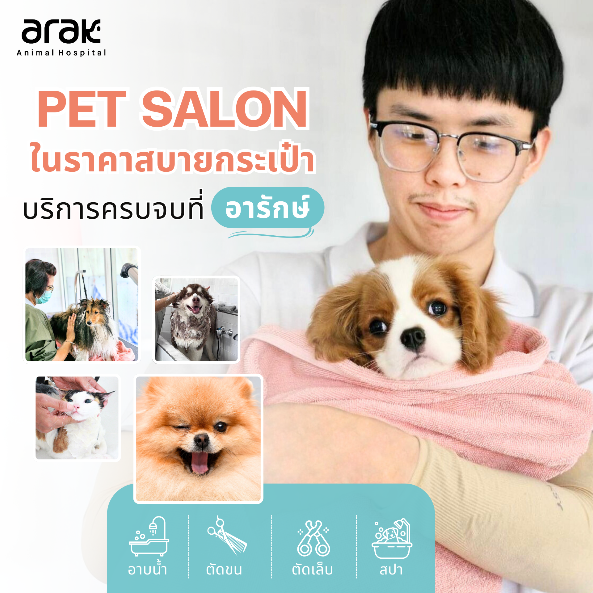Dog & Cat Grooming at Arak Pet Salon